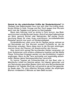 Abreißkalender Der große Grüne Wink® 2027
