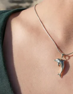 Anhänger Delfin, Silber und Gold