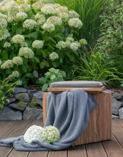 Box/Hocker mit Kissen