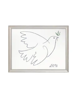 Exklusivangebot Oktober: Pablo Picasso: Bild "Friedenstaube" (1961)