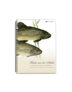 Fische aus der Schlei