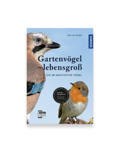 Gartenvögel - lebensgroß