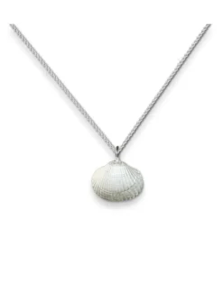 Herzmuschel und Kette
