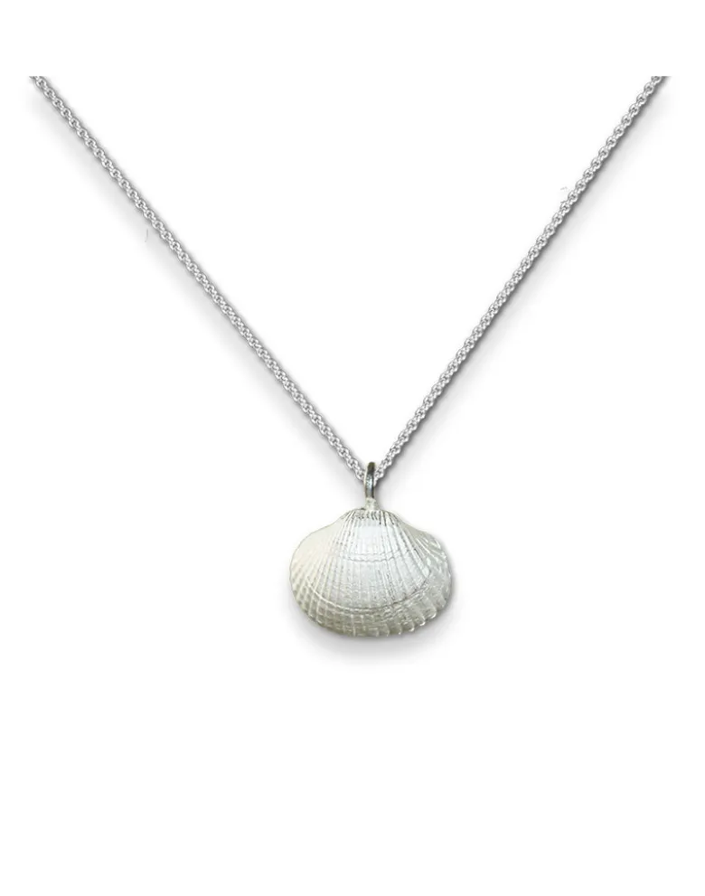 Herzmuschel und Kette