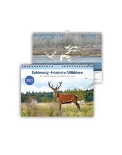 Kalender 2027: Schleswig-Holsteins Wildtiere