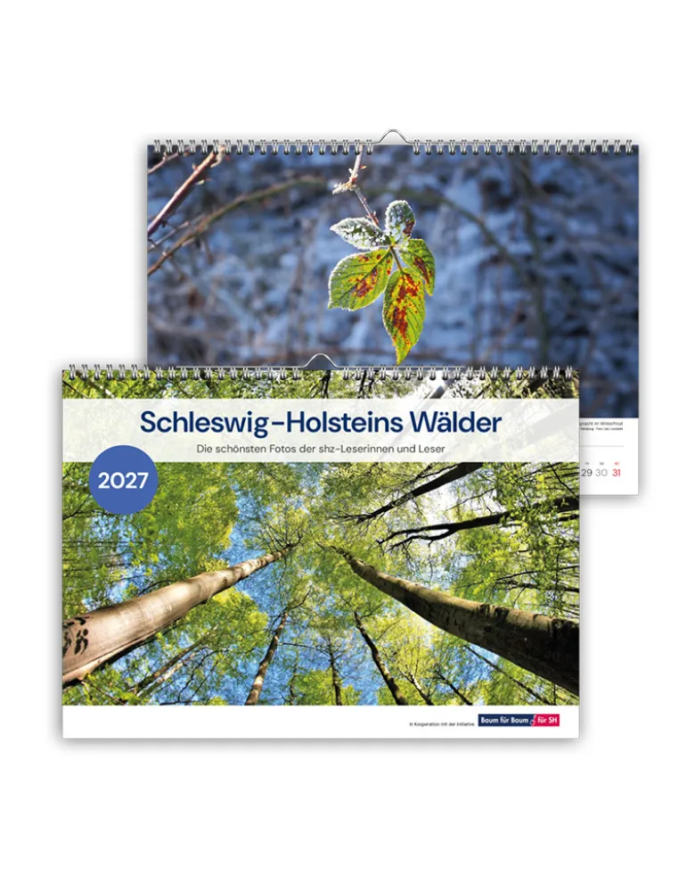 Kalender 2027: Schleswig-Holsteins Wälder