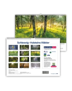 Kalender 2027: Schleswig-Holsteins Wälder