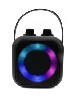 Karaoke-System mit Bluetooth, tragbar