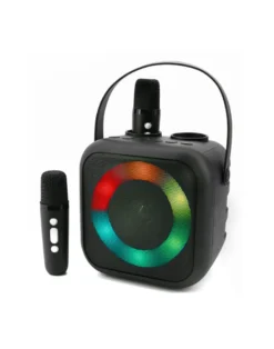 Karaoke-System mit Bluetooth, tragbar