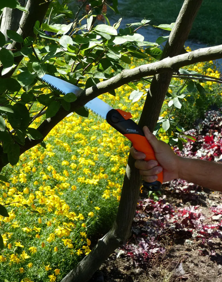 Klappsäge für die Baumarbeit