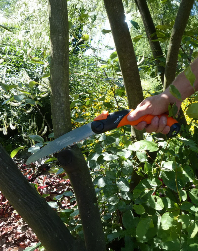 Klappsäge für die Baumarbeit