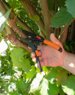 PowerGleit-Gartenschere