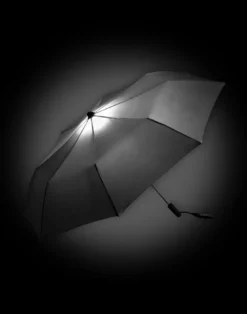 Regenschirm mit integriertem Licht