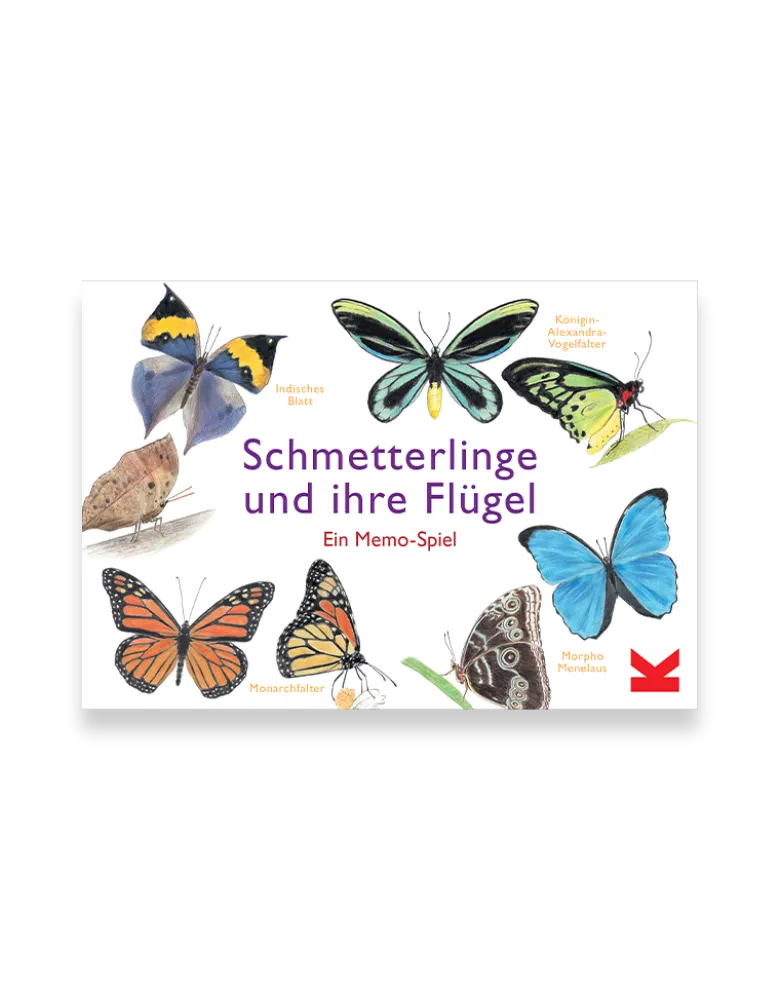 Schmetterlinge und ihre Flügel - Memo