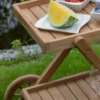 Servierwagen Küsten-Diener