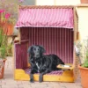 Strandkorb "Deichkieker" für Katzen oder Hunde