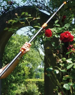 Teleskop-Rosenschere "Rosenkavalier", ausziehbar bis 190 cm