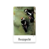 Zauberhaftes Vogel-Memo