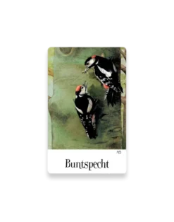 Zauberhaftes Vogel-Memo